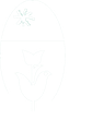 Logo PNRV