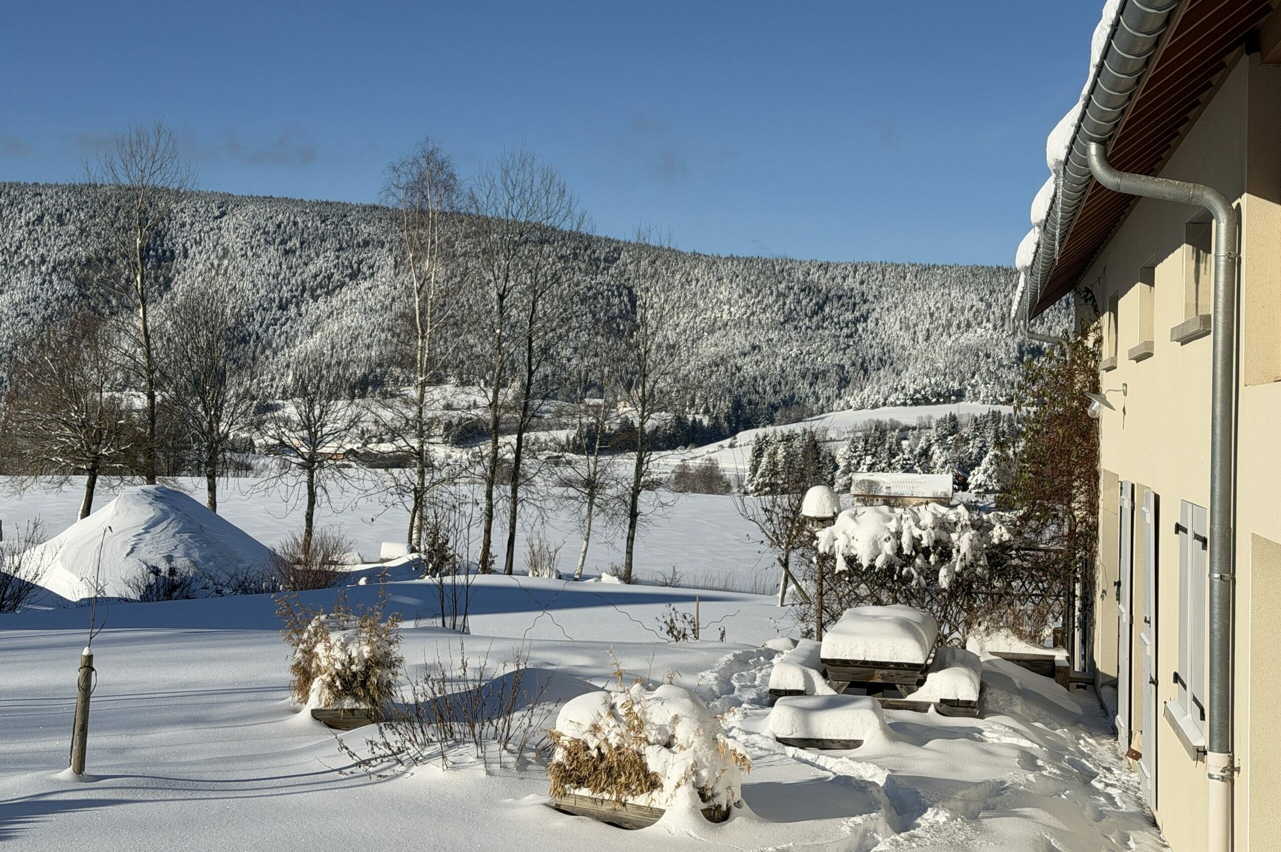 Le jardin en hiver Le jardin en hiver